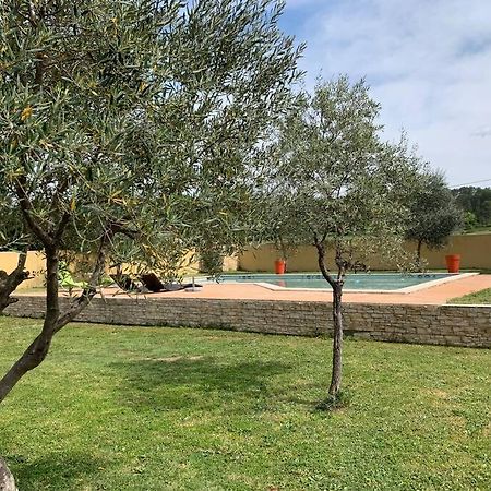 Loue Studio Dans Une Villa Avec Piscine Terrasse Saint-Theodorit Dış mekan fotoğraf