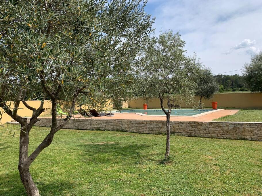 Loue Studio Dans Une Villa Avec Piscine Terrasse Saint-Theodorit Dış mekan fotoğraf